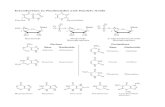 7) Introduction to Nucleotides and Nucleic Acidsbrandt/Chem330/Nucleotides&Nucleic... · 2015. 9. 24. · Base 1 ´ 3´ 2´ 4´ 5´ ... Hypoxanthine Xanthine Uric acid Pseudouracil