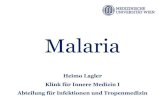 Malaria - infektiologie.co.at...2017/08/03  · Malaria-Schnelltest - Limitationen Falsch negativ 1. Alle Tests bei niedriger Parasitämie 2. HRP2 Tests: detektieren nur P. falciparum
