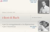 Edward Bach 1886-1936 - Cemon · 2018. 12. 19. · Webinar 13 Dicembre 2018 i fiori di Bach dr. Bruno Galeazzi 1 Edward Bach 1886-1936 Nora Weeks -1978 • per lo scoraggiamento o