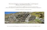 Tectonique tangentielle varisque dans les Pyrénées · 2018. 11. 5. · 8 8 les niveaux détritiques fins à macrofaune pélagique sont intercalés de deux barres carbonatées, l’une