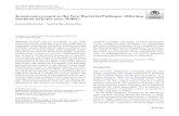 Kosakoniacowanii astheNewBacterialPathogenAffecting Soybean (Glycine max Willd.) · 2020. 5. 18. · Soybean (Glycine max Willd.) Krzysztof Krawczyk & Natasza Borodynko-Filas Accepted: