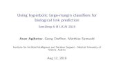 Using hyperbolic large-margin classifiers for biological link prediction …declerck/semdeep-5/presentations/slides... · 2019. 8. 12. · Using hyperbolic large-margin classifiers