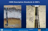 CZSS Description Standards & OSD’s - NeSoilnesoil.com/sas/3_3_Tunstead.pdf · •Most CZSS soils will have elevated levels of sulfides due to the fact that are extremely reduced.