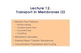 Lecture 12 Transport in membranes (2) - CHERIC · 2015. 8. 28. · External Mass-Transfer Resistances (1) •When mass-transfer resistances external to the membrane are not negligible,