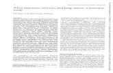 Silica exposure, silicosis, and lung study · crystalline silica in man.' There was inadequate evidencefor thecarcinogenicity ofamorphoussilica in either animals or man. Limited evidence