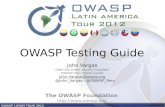 OWASP Testing Guide• Cumplen de manera efectiva con las actividades puntuales • Resuelven algunos problemas complejos. • Sus autores son personas muy inteligentes. • Hacen