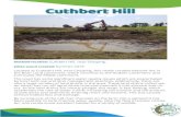 Cuthbert Hill · 2021. 1. 22. · Cuthbert Hill Wetland location: Cuthbert Hill, near Chipping, When was it created: Summer 2019 Located at Cuthbert Hill, near Chipping, this newly
