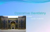 Lecture - University of Babylon · 2019. 4. 4. · Dentin morphology & histology Most of the volume of the tooth is dentin. The dentin and the pulp are morphologically and embryologically