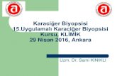 Klinikte Karaciğer Biyopsisi Uygulamalı Karaciğer Biyopsisi ......Klinikte Karaciğer Biyopsisi Uygulamalı Karaciğer Biyopsisi Kursu, 29 Nisan 2016, Ankara Author poliklinik418