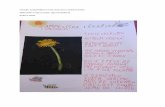 Herbář, pampeliškový med, Raw dort s jedlými květy ...JAJA_HERBAR_ETC Author: klara.kovacikova Created Date: 6/26/2020 8:22:27 PM ...