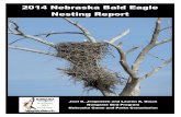 2014 Nebraska Bald Eagle Nesting Report - Weebly€¦ · 2014 Nebraska Bald Eagle Nesting Report 3 The Bald Eagle (Haliaeetus leucocephalus), a species once threatened with extinction,