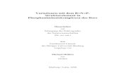 Variationen mit dem B=N=P- Strukturelement in Phosphaniminatokomplexen des Borsarchiv.ub.uni-marburg.de/diss/z1998/0304/pdf/dmm.pdf · 2020. 4. 9. · Variationen mit dem B=N=P-Strukturelement