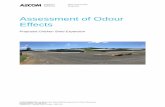 Assessment of Odour Effects - Waikato · 2019. 1. 3. · AECOM Assessment of Odour Effects P:\605X\60559186\8. Issued Docs\8.1 Reports\R001b Assessment of Odour Effects.docx Revision