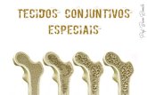 TECIDOS CONJUNTIVOS Bruno Ramello ESPECIAIS · 2016. 6. 16. · Tecido Conjuntivo Especiais Tecido adiposo: • É um tipo de tecido conjuntivo frouxo, • Especializado em armazenar