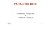 PARASITOLOGIE - univ-tln.fr · 2014. 2. 19. · PARASITOLOGIE Parasites sanguins et Parasites fécaux ABB2 D.Silve. Les Parasites Sanguins ABB2 D.Silve