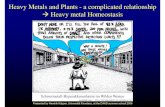 Heavy Metals and Plants - a complicated relationship...heavy metals. • In the case of heavy metals with typically low mobility, e.g. copper, also the highest metal accumulation is