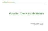 Fossils: The Hard Evidence - NJBibleScience.org · •Marine fossils are most common - inundated in place. •Fossil graveyards - large pile-ups of fossils transported and concentrated