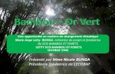 Bambou – Or Vert BUNGA... · 2019. 8. 2. · « Congo Bambou Makala », le bambou qui représente une ressource renouvelable à multiples usages tant dans la construction que dans