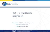 ELF – a multiscale approach · ELF Topo Global : 3./4. December 2015. the Competitiveness and Innovation framework Programme (CIP) ICT Policy Support Programme (PSP) Call 6 (Grant