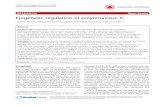 RESEARCH Open Access Epigenetic regulation of polyomavirus JC · 2017. 8. 25. · Background: Polyomavirus JC (JCV) causes the CNS demyelinating disease progressive multifocal leukoencephalopathy