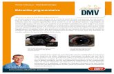 Kératite pigmentaire - Centres vétérinaires DMV · 2019. 6. 20. · Kératite pigmentaire. Qu’est -ce que la kératite pigmentaire? La kératite pigmentaire est une réponse