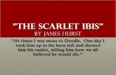 The Scarlet Ibis ... "The Scarlet Ibis" by James Hurst “At times I was mean to Doodle. One day I took him up to the barn loft and showed him his casket, telling him how we all“The