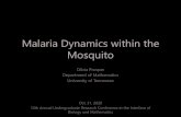 Malaria Dynamics within the Mosquito · 0 number of gametocytes in blood meal {150, 200, . . ., 450} m percentage of gametocytes that are male 0.25 ν number of female gametes per