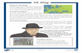 VE Day - WordPress.com · 2020. 5. 6. · General Jodl should go to the American Head Quarters based in France. Jodl surrendered on behalf of the Germans, to the Western and Russian
