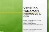 GENETIKA TANAMAN · 2019. 3. 19. · GENETIKA TANAMAN KROMOSOM & GEN Ratna Zulfarosda, S.P., M.P. Agroteknologi Fakultas Pertanian Universitas Merdeka Pasuruan Disusun dari berbagai