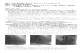 演題2 交通外傷を契機に発症したearly stent thrombosisの一 …netconf.eisai.co.jp/gunma-pci/report/021/A_2.pdf演題2 交通外傷を契機に発症したearly stent