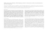 Wild type and tailless CD8 display similar interaction with microfilaments during capping · 2005. 8. 22. · Wild type and tailless CD8 display similar interaction with microfilaments