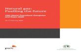 Natural gas: Fuelling the futureworldpetrocoal.in/download/Knowledge_Paper-WPCC2020.pdf · 2020. 6. 27. · 6 PwC | Natural gas: Fuelling the future As of 2018, India had 106 BCM