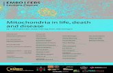 Mitochondria in life, death and disease 24 – 28 September 2019 | Herceg Novi, Montenegro · 2019. 3. 8. · Mitochondria in life, death and disease 24 – 28 September 2019 | Herceg