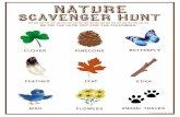 Nature Scavenger Hunt from Live Laugh Rowe...scavenger hunt be on the look out for the following: clover feather bird pinecone leaf flowers butterfly stick animal tracks livelaughrowe.com