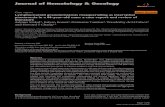 Journal of Hematology & Oncology...Journal of Hematology & Oncology 2009, 2 Lymphomatoid granulomatosis.