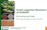Grain Legumes Research at ICRISATksiconnect.icrisat.org/wp-content/uploads/2013/11/Grain...(JG 11 , KAK 2, Chefe, ICCV 10, ICCV 97105, ICCV 95423, Ejere, Arerti) using 3 cycles of