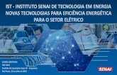 IST - INSTITUTO SENAI DE TECNOLOGIA EM ENERGIA ...O SENAI-Organização privada-Sem fins lucrativos-Estrutura federativa em todo Brasil- Criada, financiada e gerenciada pela indústria