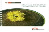 l MANUAL DE CACTUS - MINAMde+cactus.compressed.pdf · 2017. 6. 3. · de cactussilvestres,salvo las flores cortadas,los especímenes ... (Foto 12) Especies más comercializadas:-O.cylindrica-O.pyrracantha