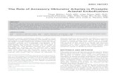 The Role of Accessory Obturator Arteries in Prostatic ...repositorio.chlc.min-saude.pt/bitstream/10400.17/1813/1...obturators originating from both the external and the internal iliac