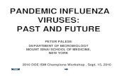 PANDEMIC INFLUENZA VIRUSES: PAST AND FUTUREVirulence of the 1918 virus in chick embryos: ELD50 log pfu 1918 “Spanish” flu 1.5 >7 Single gene reassortants identify a critical role