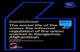 Pakistan onion: the informal regulation of the onion market in ......Working P aper 2 6 Giulia Minoia, Wamiqullah Mumtaz and Adam Pain November 2014 The social life of the onion: the