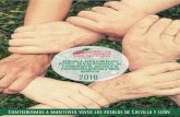 Memoria 2019 · poblaciÓn despersa 30.000,00 prevenciÓn de la violencia de gÉnero en el medio rural 13.000,00 parentalidad positiva 30.000,00 programas que se desarrollen en servicios