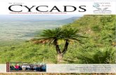 Cycad Specialist Group · 2018. 8. 13. · Vol. 3 I Issue 1 I August 2018 The Cycad Specialist Group (CSG) is a component of the IUCN Species Survival Commission (IUCN/SSC). It consists