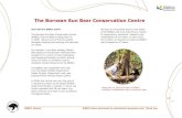 The Bornean Sun Bear Conservation Centre...Locally known as “Beruang Madu” (in Malay) or honey bears, sun bears love eating honey. The availability of honey in the wild is very