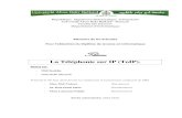 République Algérienne Démocratique et Populaire Université ...docshare04.docshare.tips/files/30672/306723868.pdf · (câble/ADSL/optique) ou non (satellite, Wi-Fi, GSM, UMTS ou