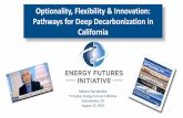 Pathways for Deep Decarbonization in California...Fo,rma1tions 7 Industry is the sector that is most difficult to decarbonize. Innovation is needed in hydrogen, carbon capture, storage