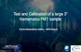 Carlos Maximiliano Mollo INFN Napoli · 2018. 7. 18. · Carlos Maximiliano Mollo –Test and alibration of a large ” Hamamatsu PMT sample –NEPTUNE Workshop –July 19th 2018