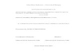 Alma Mater Studiorum – Università di Bologna DOTTORATO DI …amsdottorato.unibo.it/4095/1/PRESTIPINO_MARCO_TESI.pdf · 2011. 5. 31. · Presentata da: MARCO PRESTIPINO Coordinatore