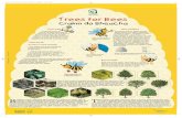 Department of Agriculture, Food and the Marine Talmhaíochta, Bia … · 2020. 9. 1. · Bia agus Mara . Title: Author: Tree Council of Irel Created Date: 8/16/2018 12:15:49 PM ...