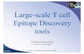 Large-scale T cell Epitope Discovery tools18NOV09 2nd Open Scientific EIP Symposium, Leiden The IMGT/HLA Sequence Database currently contains more than2250 HLA class I proteins Oct